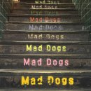 네오피자 수영광안점 | [광안] 광안리 피자 맛집 매드독스 광안리점 🍕 오랜만에 재방문 후기