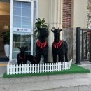 향촌주유소 이미지