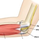 소하경희한의원 이미지