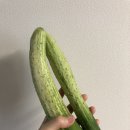 (주)진로마트 이미지