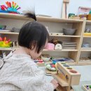 스콜라유치원 | 스콜라 몬테소리 정자점, 두 아이를 함께 보내는 이유(1년 넘게 다닌 후기)