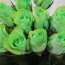 예송 농장 이미지