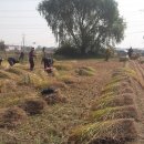 구산농장 이미지