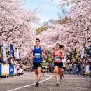 이천시 종합운동장 야구장 | 26년 이천 도자 마라톤 월드런 고글 배번판 4월 마라톤