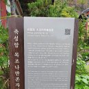 진도하루 이미지
