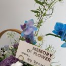 메모리오브플라워(memory of flower)