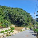 전원24마트 이미지