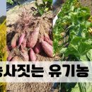 은성효요양원 이미지