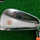 아이언 플렉스(IRON FLEX) 이미지