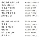 몸맘얼