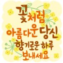 은혜비닐봉투 이미지