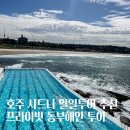 호주 시드니 투어 시드니 일일투어 동부해안 투어 후기 공항 픽업 포함 및 본다이비치 수영장 등