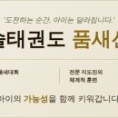 아리솔태권도 네이버블로그