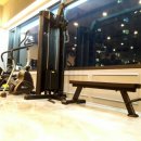 PT전문 레몬 이미지