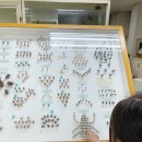 영남대학교자연박물관 이미지