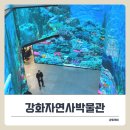 강화자연사박물관 | 강화자연사박물관에서 교육 프로그램까지 알찬 하루!