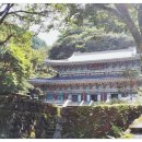 제주의료복지용구기관 이미지