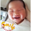 비타민은 다혜 이미지