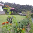 안나의정원 이미지