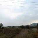 세림공인중개사사무소 이미지