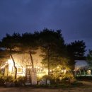 삼하리카페