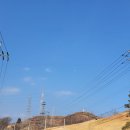 울진부구터미널 Daum카페