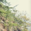 유신칼라 네이버블로그