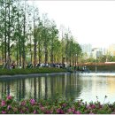 부산시민공원 문화예술촌 이미지