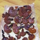 230-1-000034 이미지