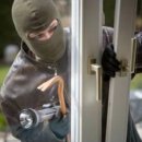 당근(carrot) 이미지