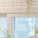 동경신촌 이미지