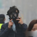 아트케이지풋살