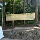 왕두꺼비 | 반값여행 지역사랑 휴가지원 사업 환급 후기 : 제천 1박2일 뚜벅이 여행