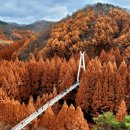 올해 가을 미리 선점해야 할 국내 단풍 여행지 BEST 4 추천 이미지