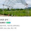 포도길캠핑장