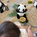 문화위생운수(주) | 롯데백화점 문화센터 오감발달 토리톡톡 수강 6개월 낯가림 심한 아기 후기