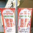 캘리그라피(관저문예회관) 이미지