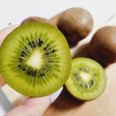 소랑다래랑 이미지