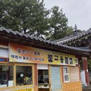 제주불교성지 순례길 절로가는길 - 선정의 길 이미지