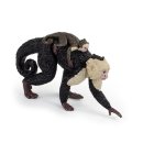 카푸친어린이집 이미지