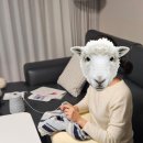 바늘과 실 | 썸웨어버터 × 바늘이야기 코프 스트라이프 니트 키트 FO 완성후기