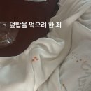 지성국제행정사