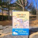 고크라테스 이미지