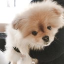 로이종합동물병원 이미지