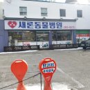 새론동물병원 이미지