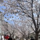 김민준태권도장 이미지