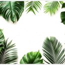 건강한방병원 이미지