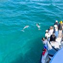 주식회사 블루자동차 | 포트스테판 투어ㅣ4월 5월 해외 여행지 추천, 코스 일정, 날씨, 복장, 준비물 꿀팁 한 눈에 보기