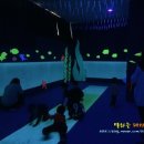 바다놀이터 이미지