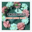 심플리로어 아이폰 13미니 맥세이프 카드지갑 후기 ㅣ 분실방지 성능 솔직 리뷰